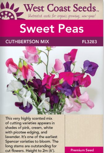 Sweet Pea Cuthbertson Mix - West Coast Seeds