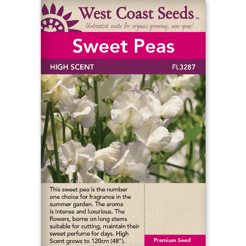 Sweet Peas High Scent - West Coast Seeds