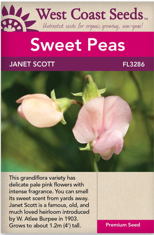 Sweet Peas Janet Scott - West Coast Seeds Ltd