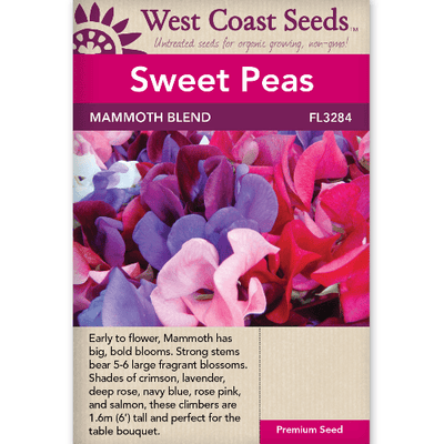 Sweet Peas Mammoth Blend - West Coast Seeds