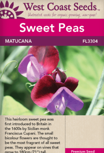 Sweet Peas Matucana - West Coast Seeds