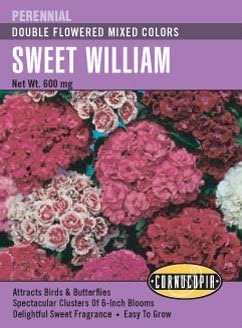Sweet William Double Flowered Mix - Cornucopia Seeds