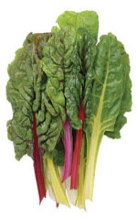 Swiss Chard Rainbow - Aimer's Organic Seeds