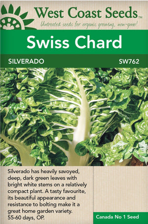Swiss Chard Silverado - West Coast Seeds