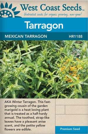Tarragon Mexican - West Coast Seeds