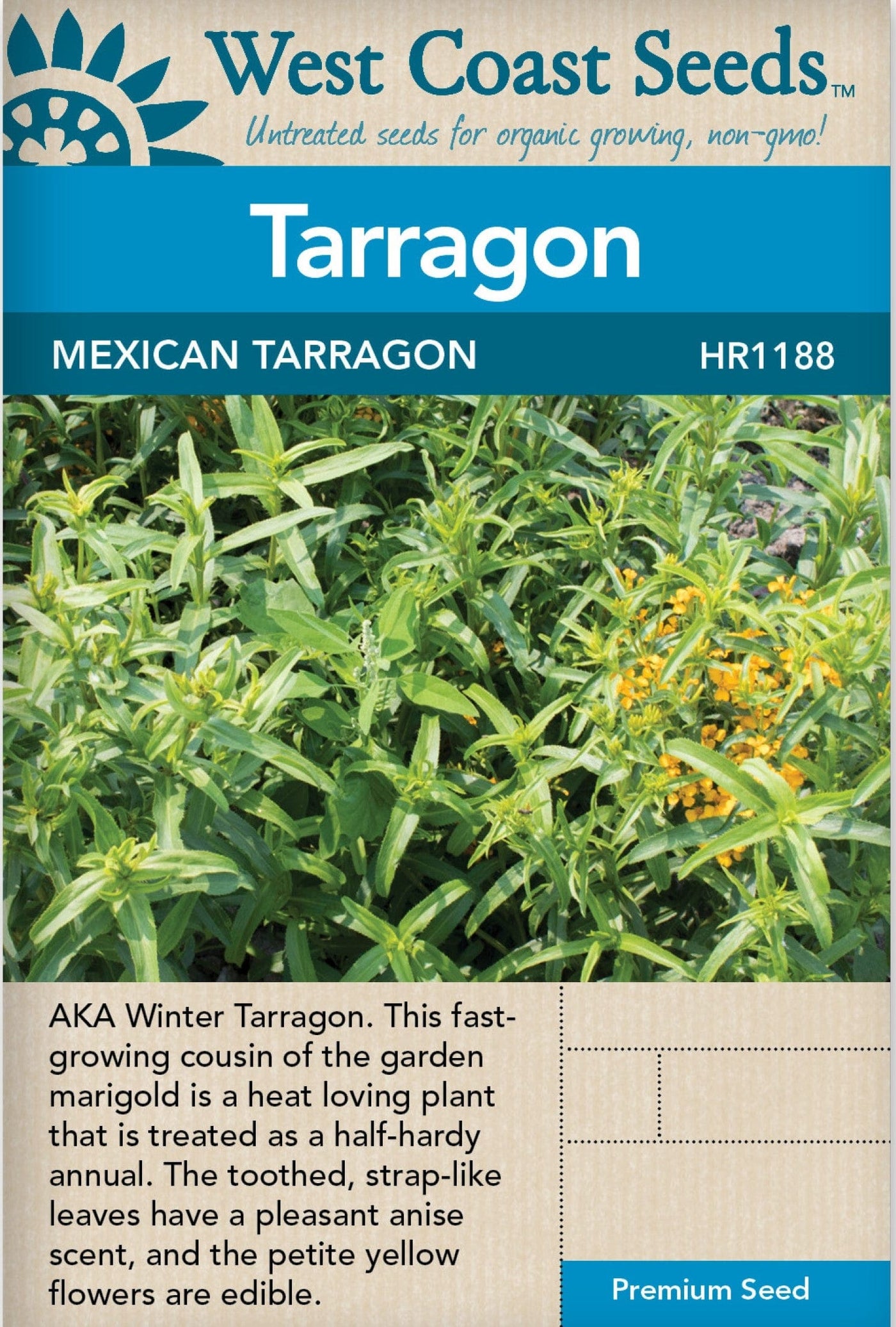 Tarragon Mexican - West Coast Seeds Ltd