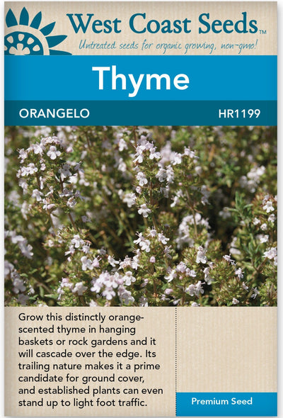 Thyme Orangelo - West Coast Seeds