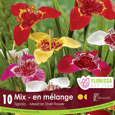 Tigridia - Mixed, 10 Pack