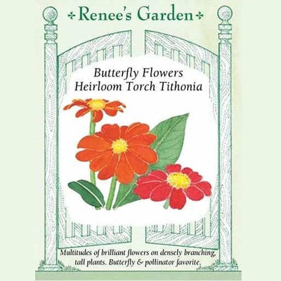 Tithonia Heirloom Torch - Renee's Garden Seeds