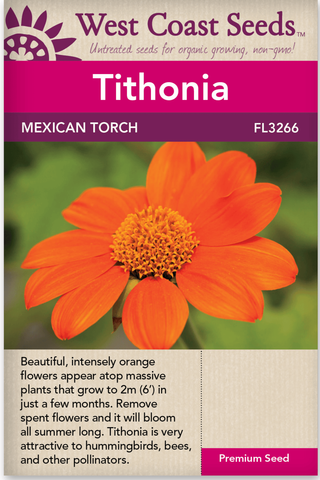 Tithonia Mexican Torch - West Coast Seeds