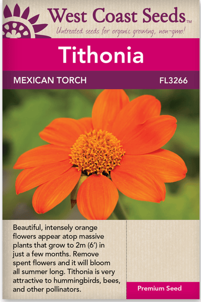 Tithonia Mexican Torch - West Coast Seeds