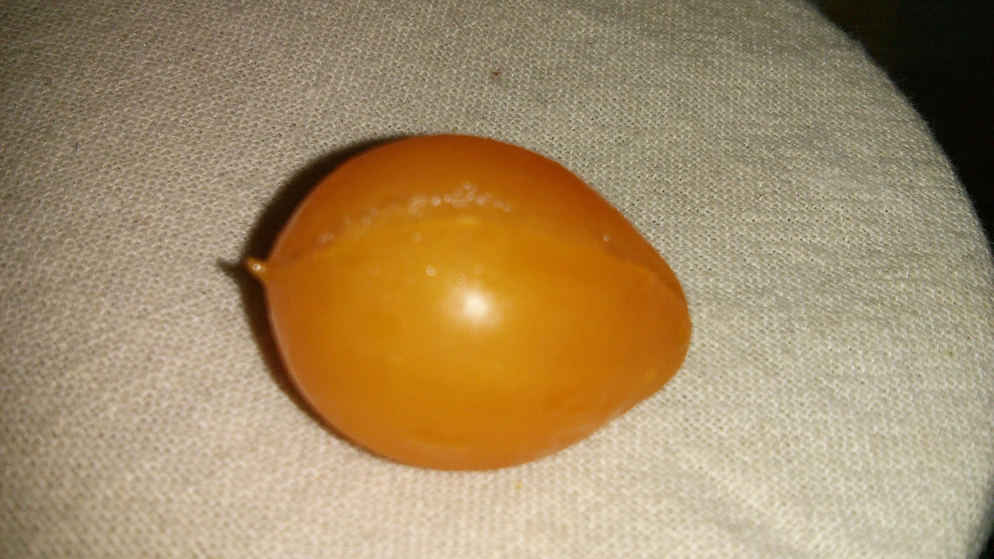 Tomato Cheesmanii - Salt Spring Seeds