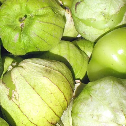 Tomatillo Toma Verda - Saanich Organics Seeds