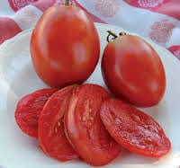 Tomato Amish Salad Cherry - Salt Spring Seeds