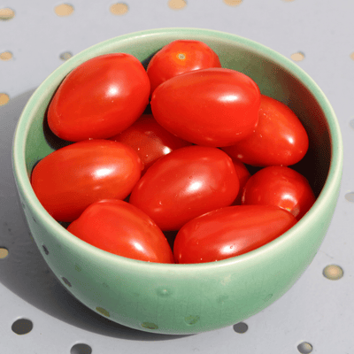 Tomato Amish Salad Cherry - Salt Spring Seeds