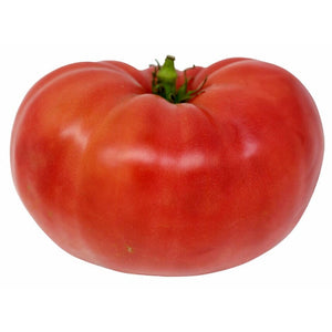 Tomato Beefsteak - Aimer's Organic Seeds