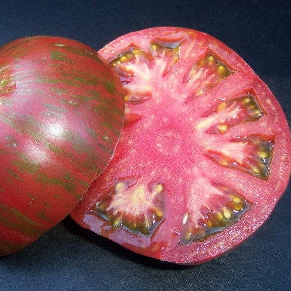 Tomato Berkeley Pink Tie Dy - Saanich Organics