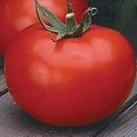 Tomato Better Boy Hybrid - Cornucopia Seeds