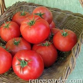 Tomato Big Beef Beefsteak - Renee's Garden Seeds