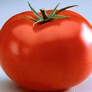 Tomato Big Beef Beefsteak - Renee's Garden Seeds