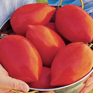 Tomato Big Mama Hybrid - Burpee Seeds