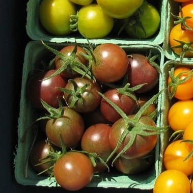 Tomato Black Cherry - Saanich Organics