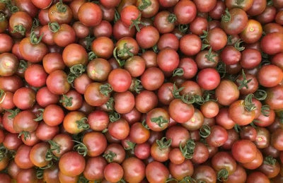 Tomato Black Cherry - Saanich Organics