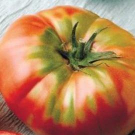 Tomato Brandywine