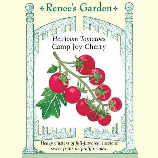 Tomato Camp Joy - Renee's Garden Seeds