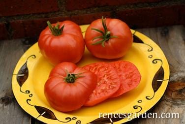 Tomato Chianti Rose - Renee's Garden Seeds