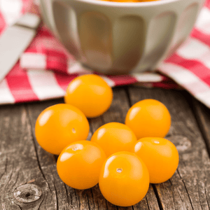 Tomato Galina Small Cherry - Salt Spring Seeds
