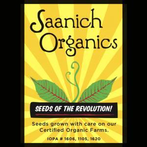 Tomato German Striped - Saanich Organics Seeds