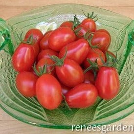 Tomato Grape Pandorino - Renee's Garden Seeds