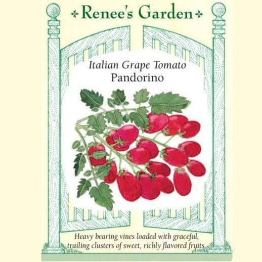 Tomato Grape Pandorino - Renee's Garden Seeds