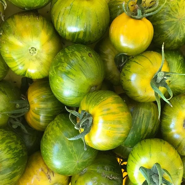 Tomato Green Zebra - Saanich Organics Seeds