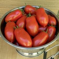 Tomato Inca Jewels - Renee's Garden Seeds