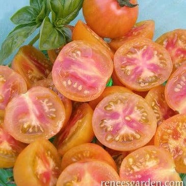 Tomato Isis Candy - Renee's Garden Seeds
