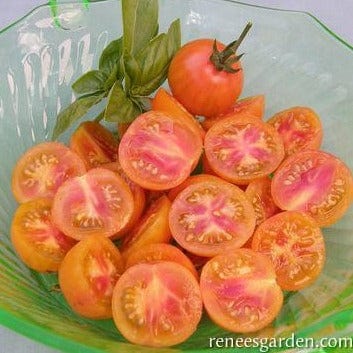 Tomato Isis Candy - Renee's Garden Seeds