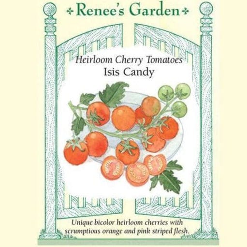 Tomato Isis Candy - Renee's Garden Seeds