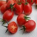 Tomato King Umberto Cherry - Salt Spring Seeds