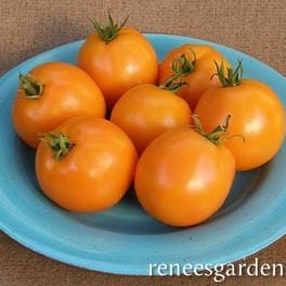 Tomato Mandarin Cross - Renee's Garden Seeds