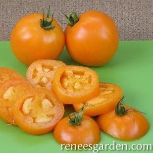 Tomato Mandarin Cross - Renee's Garden Seeds