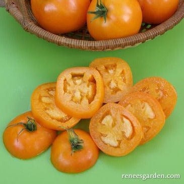 Tomato Mandarin Cross - Renee's Garden Seeds