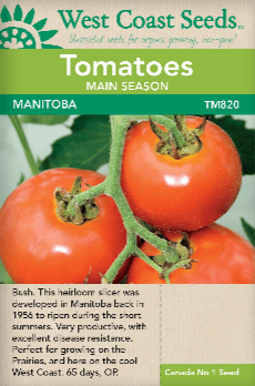 Tomato Manitoba - West Coast Seeds