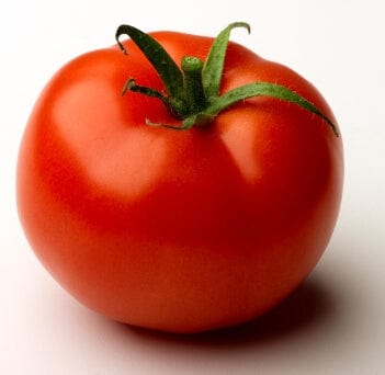 Tomato Money Maker - Aimer's Organic Seeds