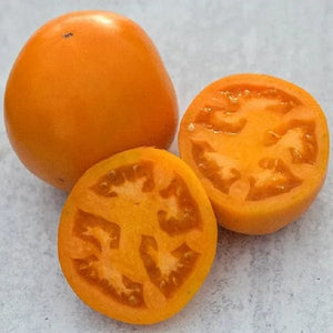 Tomato Orange You Glad - Saanich Organics Seeds