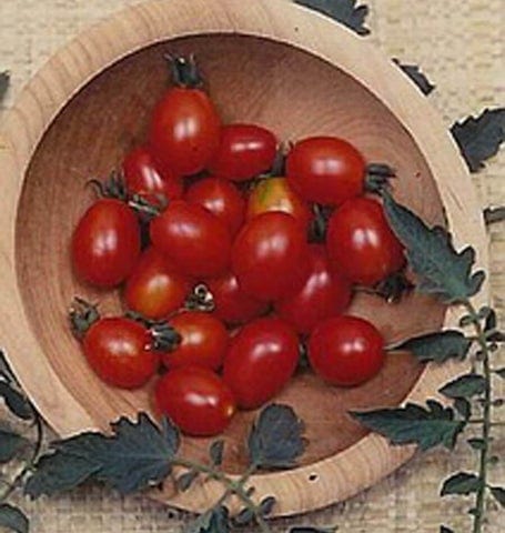 Tomato Principe Borghese - West Coast Seeds