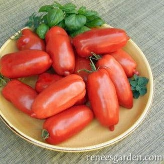 Tomato Roma Pompeii - Renee's Garden Seeds