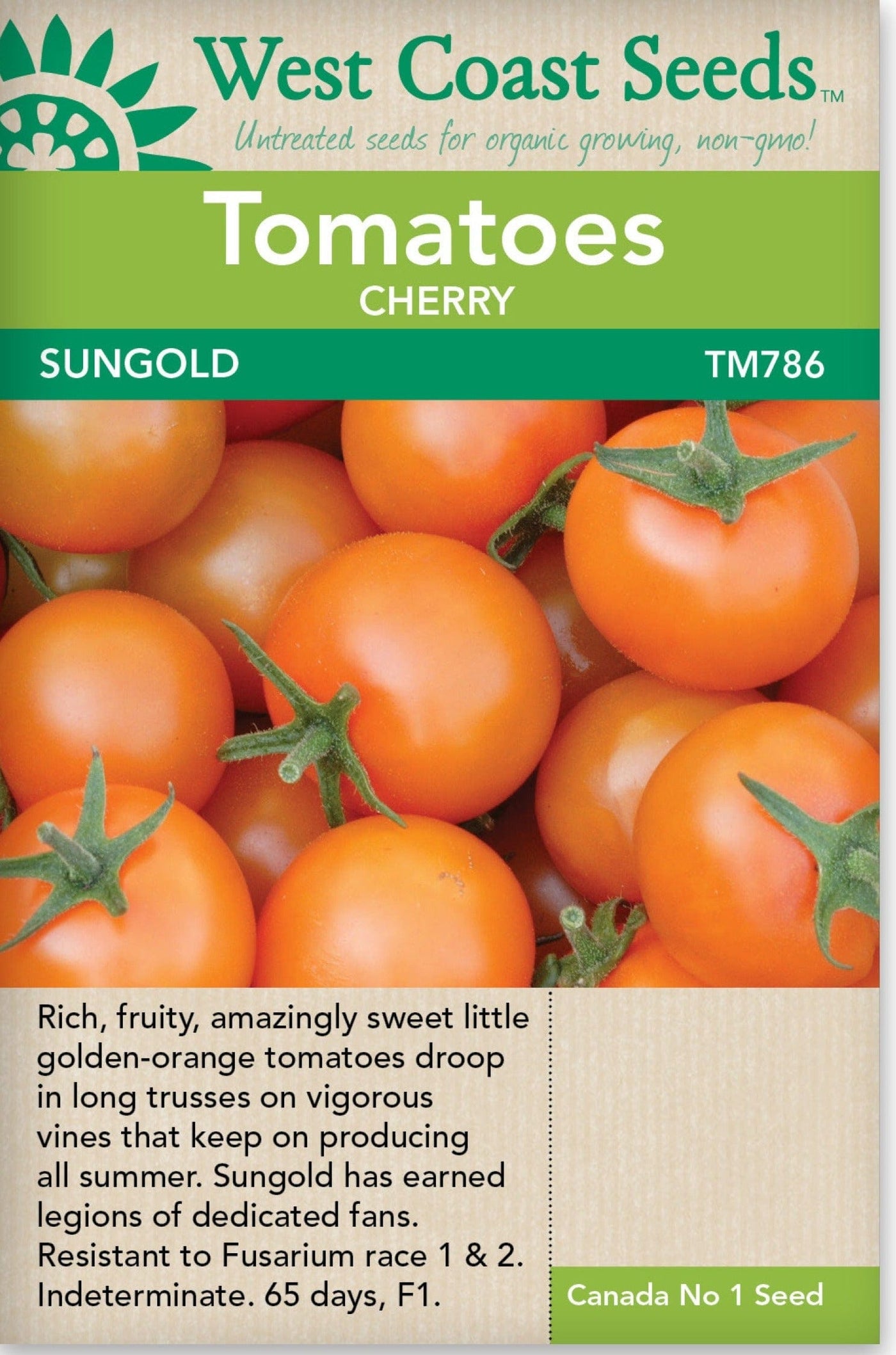 Tomato Sungold Cherry - West Coast Seeds