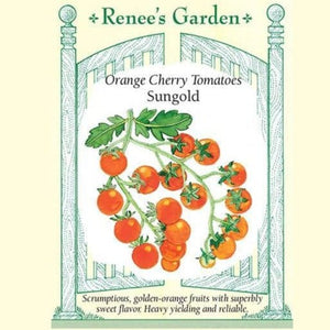 Tomato Sungold - Renee's Garden Seeds